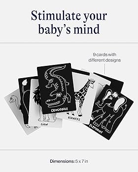 【絶版・希少】Pictarot Cards by Pictoplasma Kosmic Krashers Ack! Ack! Airship KK-2 Intergoolactic Mayhem